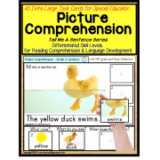 Picture Comprehension LARGE TASK CARDS Sentence Building and Language for Autism